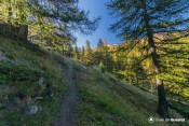 premiers rayons de soleil