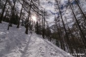 premiers rayons soleil montee curlet raquettes