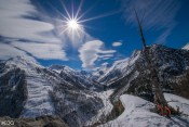 En haut de la Médille : l'arbre, Mont-Viso et Rayons de Soleil