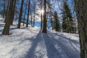 Les Mélèzes au Chalet de la Médille