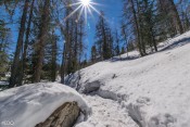 Rocher sous la neige