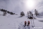 raquettes batons devant teleski pre du geant