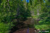rayon de soleil sur etang moussou
