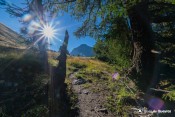 rayons de soleil sentier