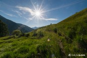 rayons soleil herbes hautes au dessus moussou
