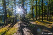 rayons sur belvedere face villargaudin