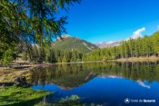 reflet cretes crepaud sur lac roue