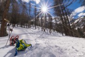 retour au panneau indicateur curlet sous le soleil poudreuse