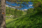 retour vers la chalp