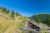 ruines toit lauze grand varensc