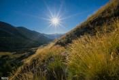 senteurs herbes soleil sur rouchas frach