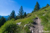sentier a travers alpages verdoyant