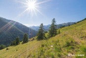 sentier au dessus de varensc