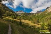 sentier dans vallon derriere bergerie souliers