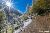 sentier egorgeou automne enneige
