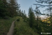 sentier en sous bois devant bleu queyras