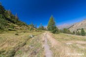 sentier le long ancien canal