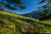 sentier pour le panoramique depuis aiguiller