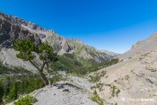 sentier source font sancte pin cembro vue globale val escreins