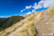 sentier terre et ciel bleu dans alpages