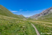 sentier vallon laugier parterre fleurs couleurs
