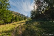 sentier valpreveyre au petit matin