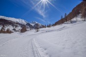 La montée du Tanchet : bon pour les bras !