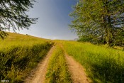 sky is the limit green road