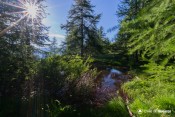 soleil du soir etang moussou