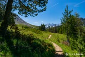 sortie bois font sancte sentier col fromage