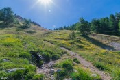 source du col bramousse dans montee vers jean grossan