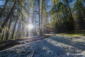 sous le melezin douceur soleil