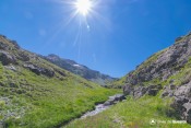 symphonie de couleurs sous le soleil vallon laugier