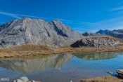 Taillante turquoise dans les eaux de l'Eychassier inférieur