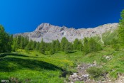 torrent de pisan et roche des clots