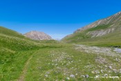 torrent laugier ecrins au fond