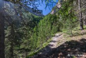 torrent laugier sous collet en approche