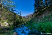 torrent laugier sous collet vue cote basse rua