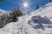 trace de pas dans la neige sous egorgeou