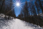 trace piste lac roue sous les melezes