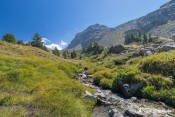 traversee torrent urine au niveau bergerie sous roche