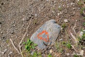 un balisage trail omnipresent