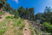 un sentier endomage