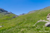 une montee en etages verts