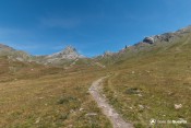 vallon valpreveyre fleuri