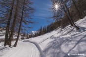 virage meleze ensoleille piste les loups
