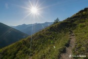 virage vert sentier rayons soleil gilly