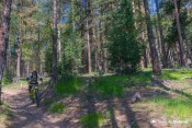vtt gr5 lac de roue poussiere