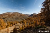 vue molines depuis sentier clot henry au dessus sainte colombe