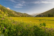 vue sur pre la chalp depuis chemin curlet lever soleil